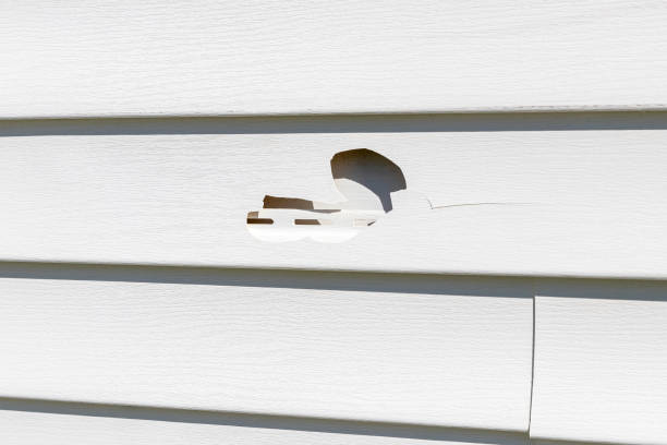 Trusted Spencerville, OH Siding Installation & Repair Experts